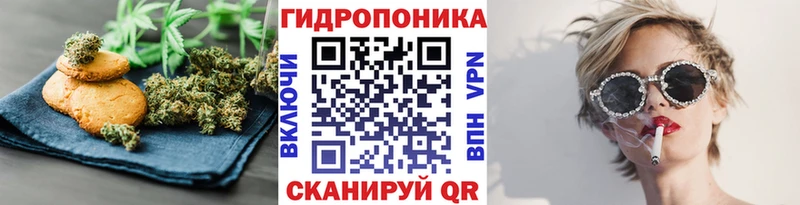 Cannafood марихуана  Мураши 