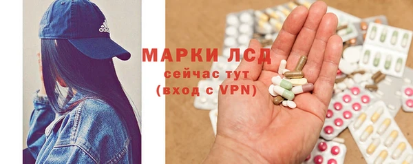 шишки Алексин