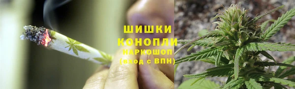 шишки Алексин