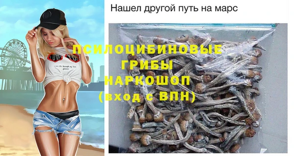 шишки Алексин