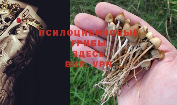 кокс Алзамай