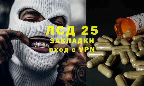 шишки Алексин