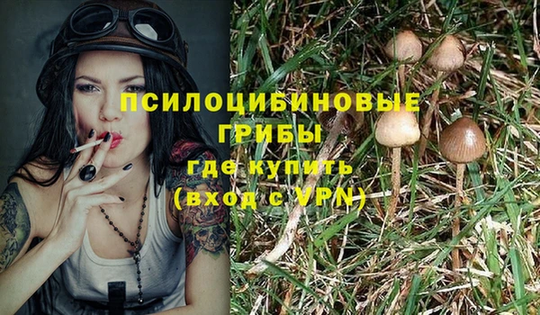 шишки Алексин